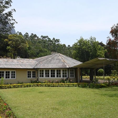 Ama Stays And Trails Tea Estate Bungalows , Munnar Bagian luar foto